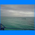 Vacation 054.jpg